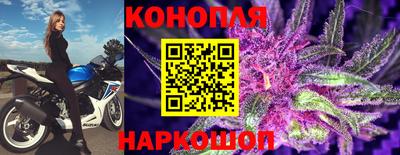 СК Бузулук