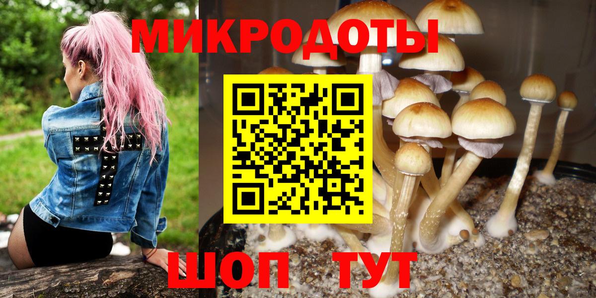 Псилоцибиновые грибы мухоморы Туймазы