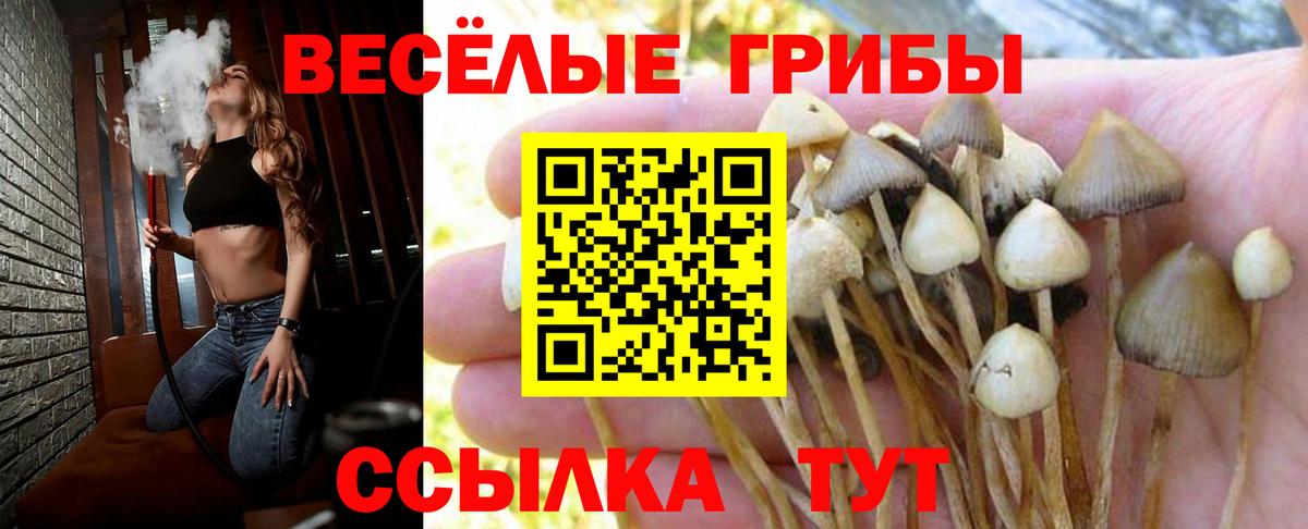 Туймазы  Галлюциногенные грибы Magic Shrooms  Вход с VPN  Галлюциногенные грибы мицелий 